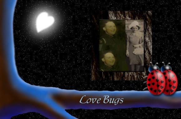 Alan+Jean LuvBugs Link.jpg