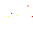 flashingwhitestar.gif